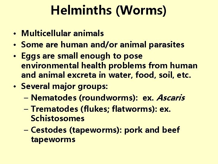Helminths (Worms) • Multicellular animals • Some are human and/or animal parasites • Eggs