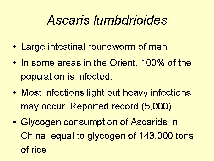 Ascaris lumbdrioides • Large intestinal roundworm of man • In some areas in the