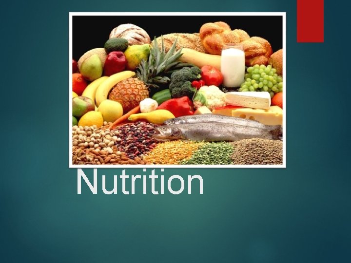 Nutrition Nutrition