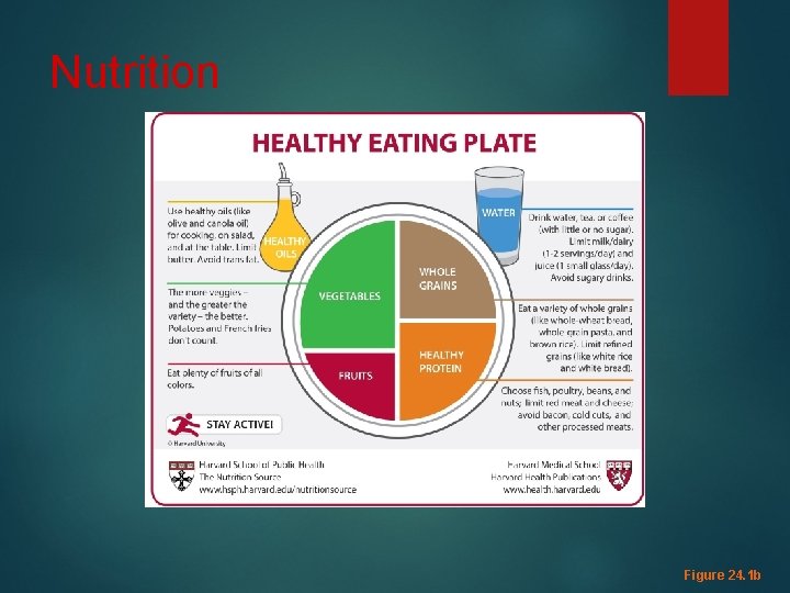 Nutrition Figure 24. 1 b Nutrition Figure 24. 1 b