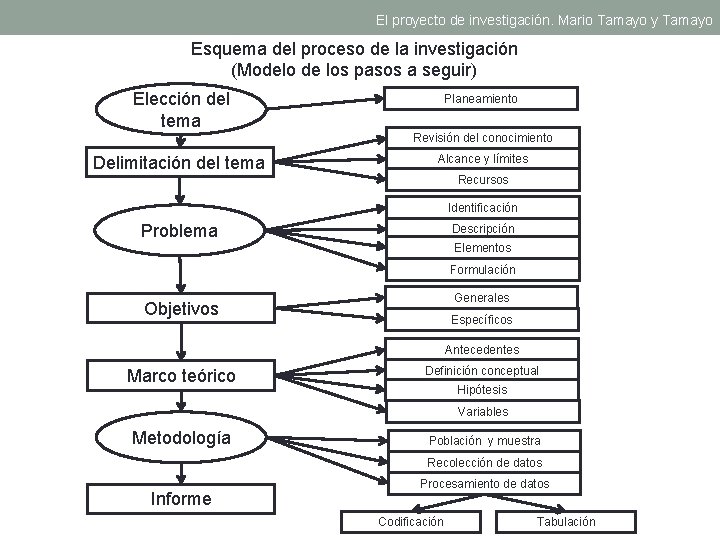 El proyecto de investigación. Mario Tamayo y Tamayo Esquema del proceso de la investigación