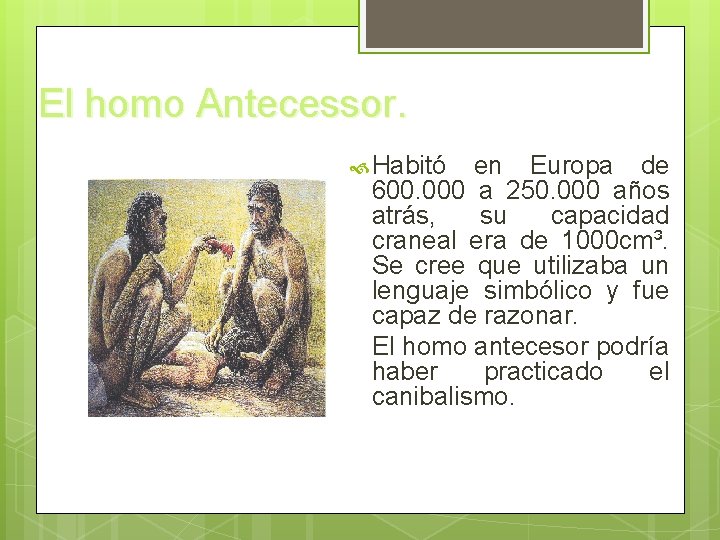 El homo Antecessor. Habitó en Europa de 600. 000 a 250. 000 años atrás,