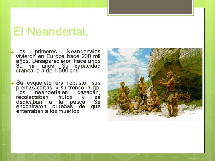 El Neandertal. Los primeros Neandertales vivieron en Europa hace 200 mil años. Desaparecieron hace