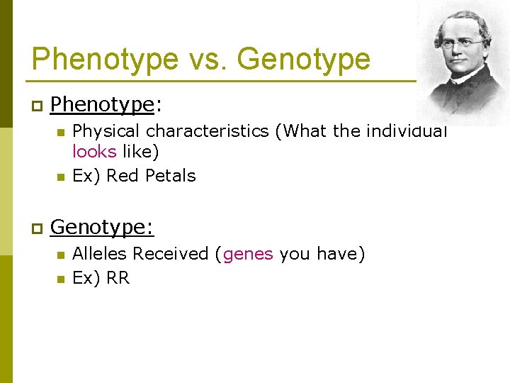 Phenotype vs. Genotype p Phenotype: n n p Physical characteristics (What the individual looks