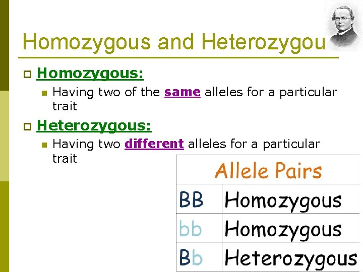 Homozygous and Heterozygous p Homozygous: n p Having two of the same alleles for