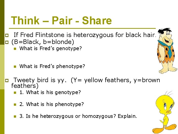 Think – Pair - Share p p p If Fred Flintstone is heterozygous for