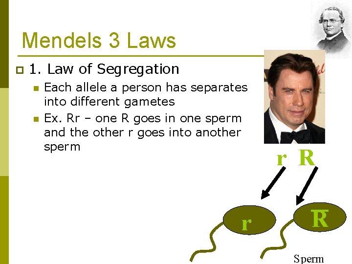 Mendels 3 Laws p 1. Law of Segregation n n Each allele a person
