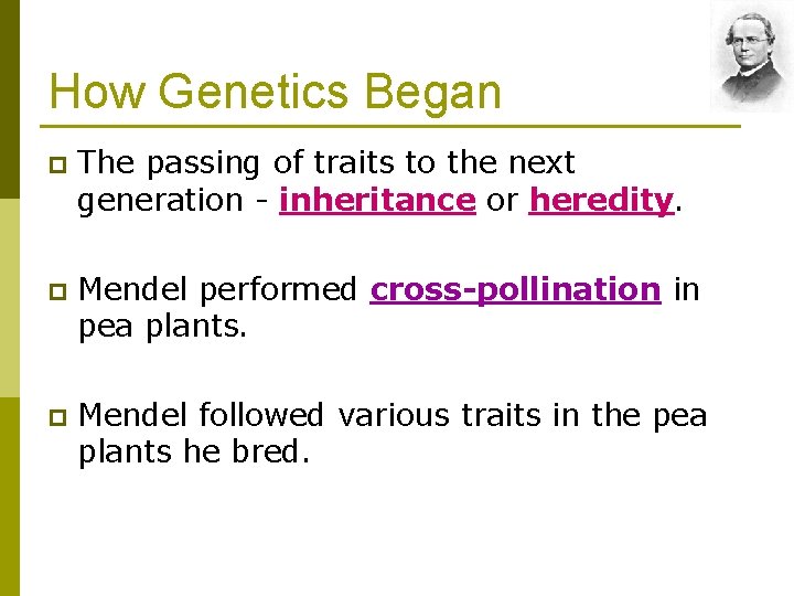 How Genetics Began p The passing of traits to the next generation - inheritance