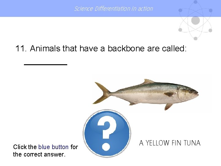 Science Differentiation in action 11. Animals that have a backbone are called: Click the