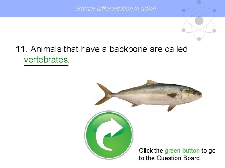 Science Differentiation in action 11. Animals that have a backbone are called vertebrates. Click