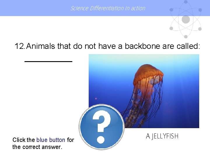 Science Differentiation in action 12. Animals that do not have a backbone are called: