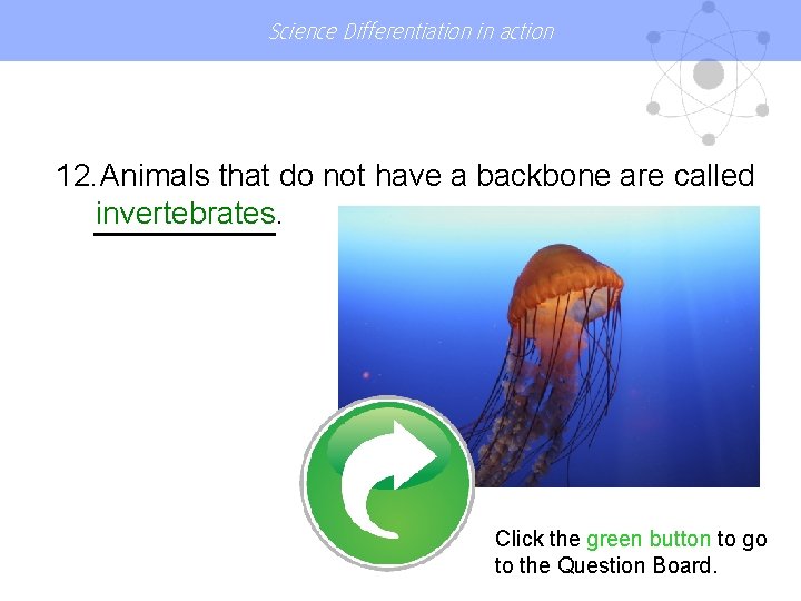 Science Differentiation in action 12. Animals that do not have a backbone are called