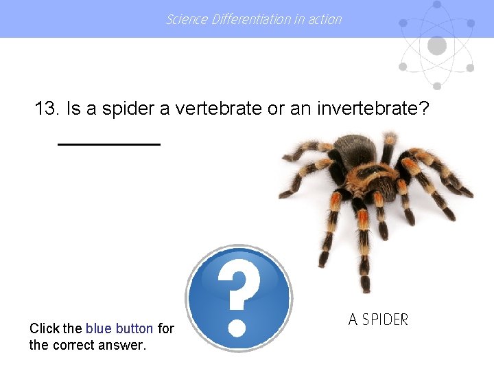 Science Differentiation in action 13. Is a spider a vertebrate or an invertebrate? Click