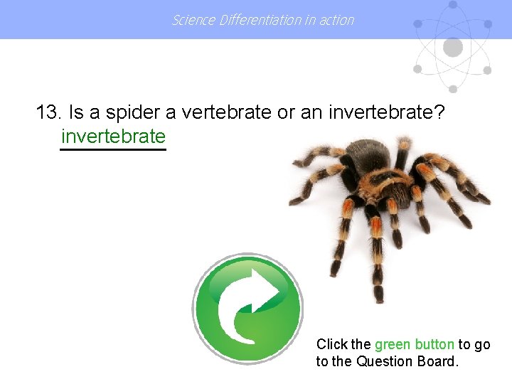 Science Differentiation in action 13. Is a spider a vertebrate or an invertebrate? invertebrate