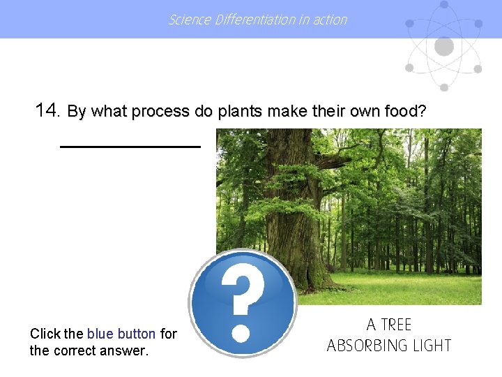 Science Differentiation in action 14. By what process do plants make their own food?