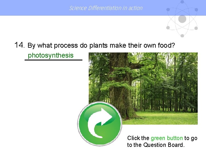 Science Differentiation in action 14. By what process do plants make their own food?