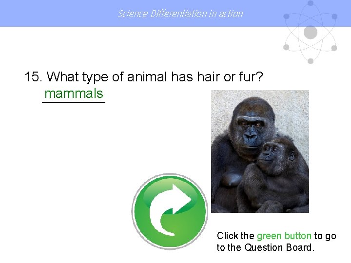 Science Differentiation in action 15. What type of animal has hair or fur? mammals