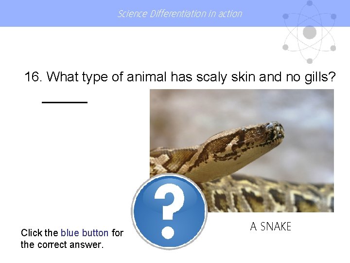 Science Differentiation in action 16. What type of animal has scaly skin and no