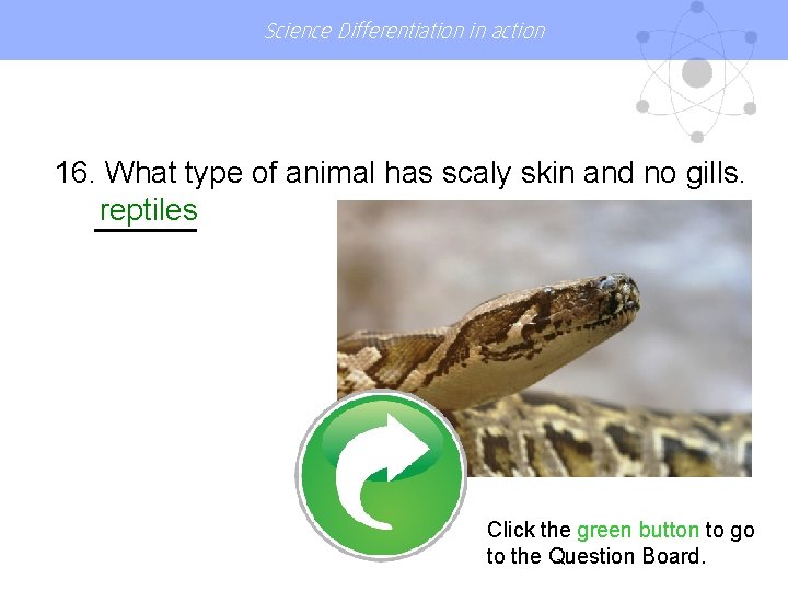 Science Differentiation in action 16. What type of animal has scaly skin and no