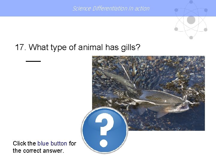 Science Differentiation in action 17. What type of animal has gills? Click the blue