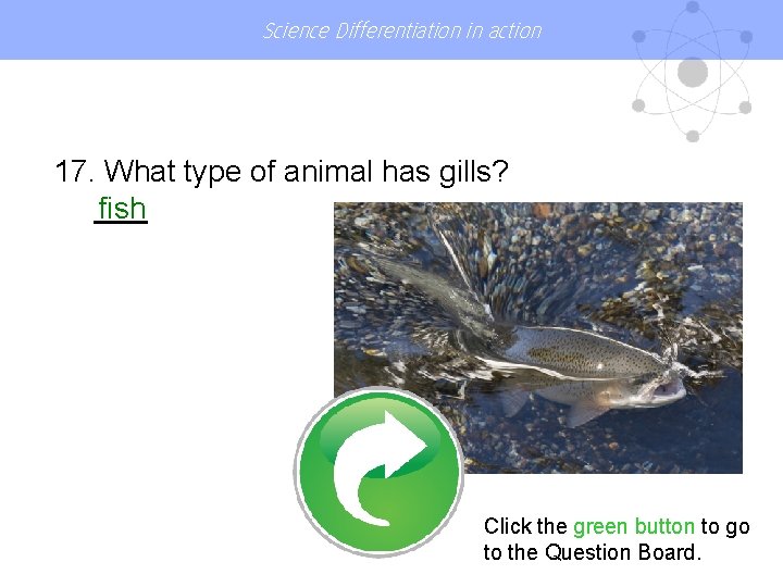 Science Differentiation in action 17. What type of animal has gills? fish Click the
