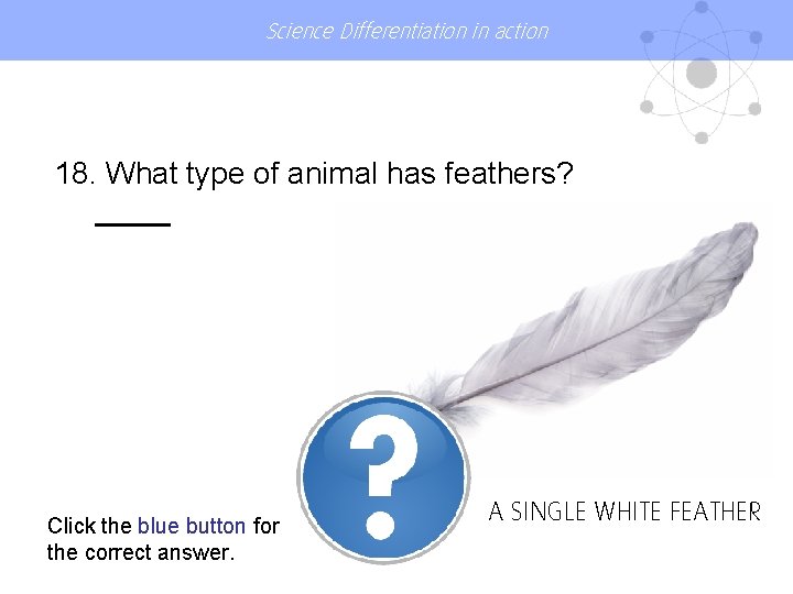 Science Differentiation in action 18. What type of animal has feathers? Click the blue