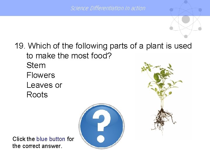 Science Differentiation in action 19. Which of the following parts of a plant is
