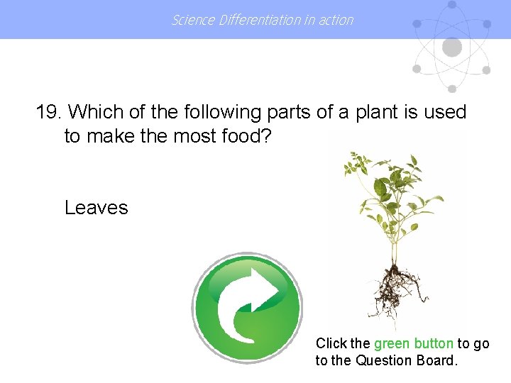Science Differentiation in action 19. Which of the following parts of a plant is
