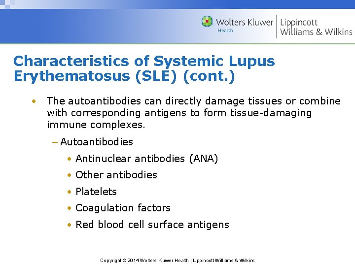 Characteristics of Systemic Lupus Erythematosus (SLE) (cont. ) • The autoantibodies can directly damage