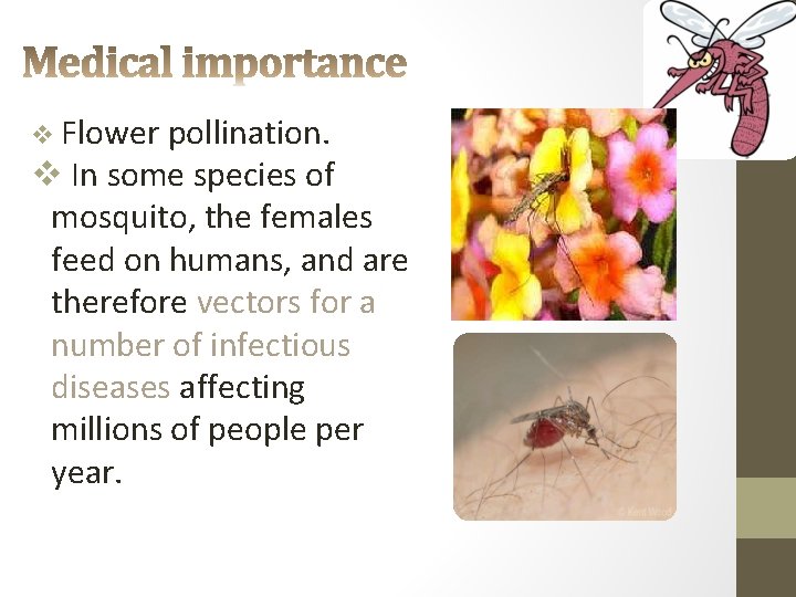 v Flower pollination. v In some species of mosquito, the females feed on humans,