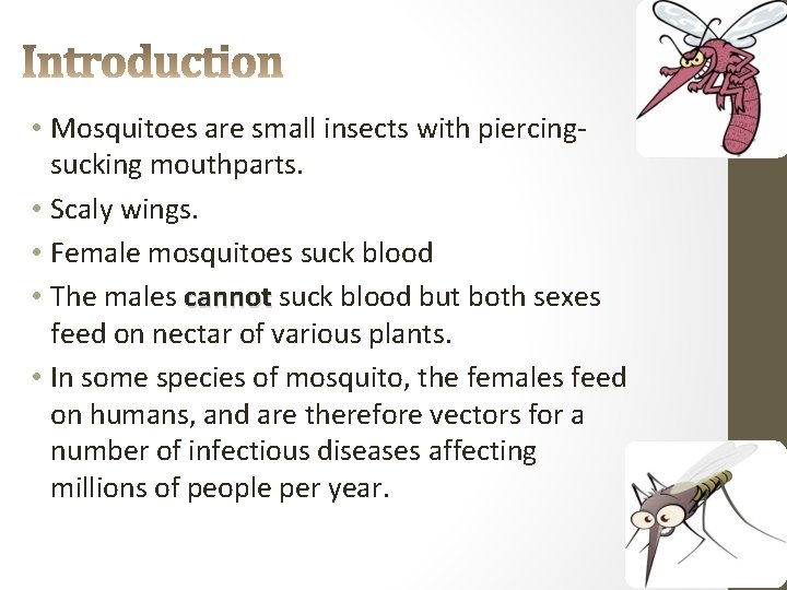  • Mosquitoes are small insects with piercingsucking mouthparts. • Scaly wings. • Female