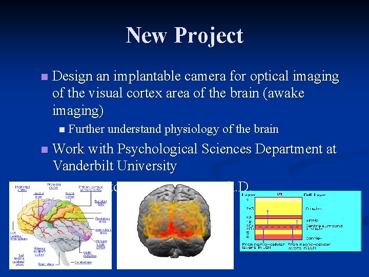 New Project n Design an implantable camera for optical imaging of the visual cortex
