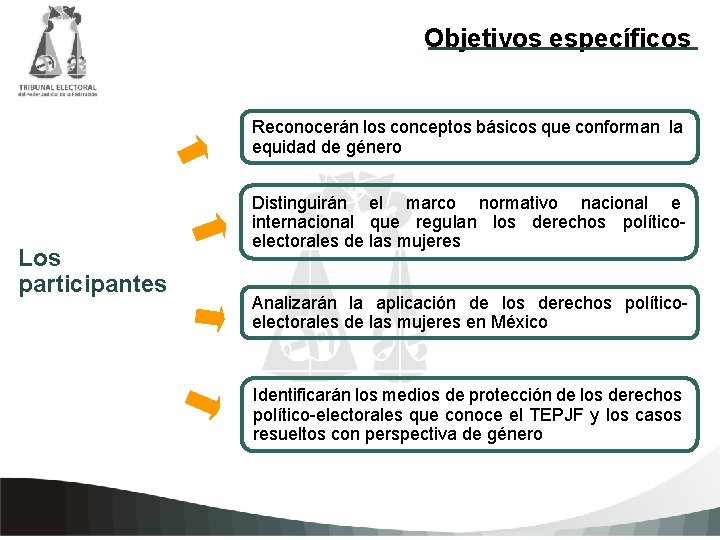 Objetivos específicos Reconocerán los conceptos básicos que conforman la equidad de género Distinguirán el