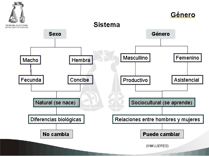 Género Sistema Sexo Macho Género Hembra Mascullino Femenino Haga clic para agregar texto de