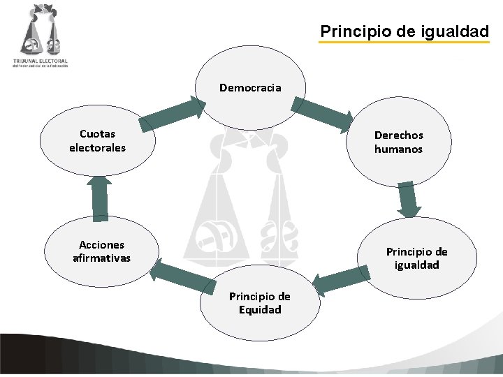 Principio de igualdad Democracia Cuotas electorales Derechos humanos Haga clic para agregar texto de