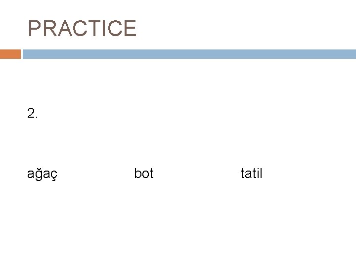 PRACTICE 2. ağaç bot tatil 