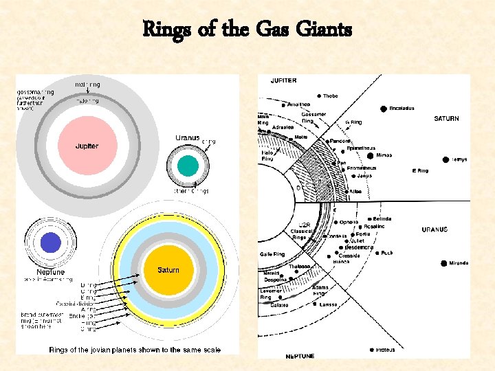 Rings of the Gas Giants 