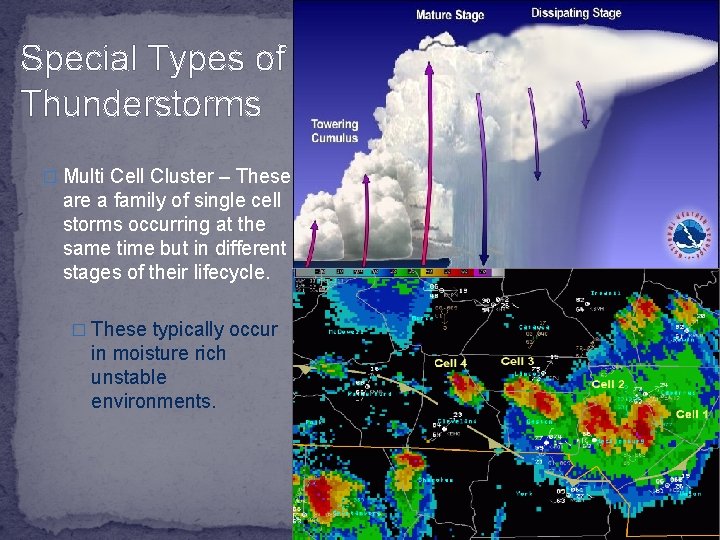 Special Types of Thunderstorms � Multi Cell Cluster – These are a family of