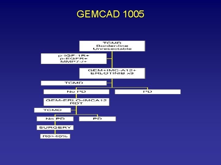 GEMCAD 1005 