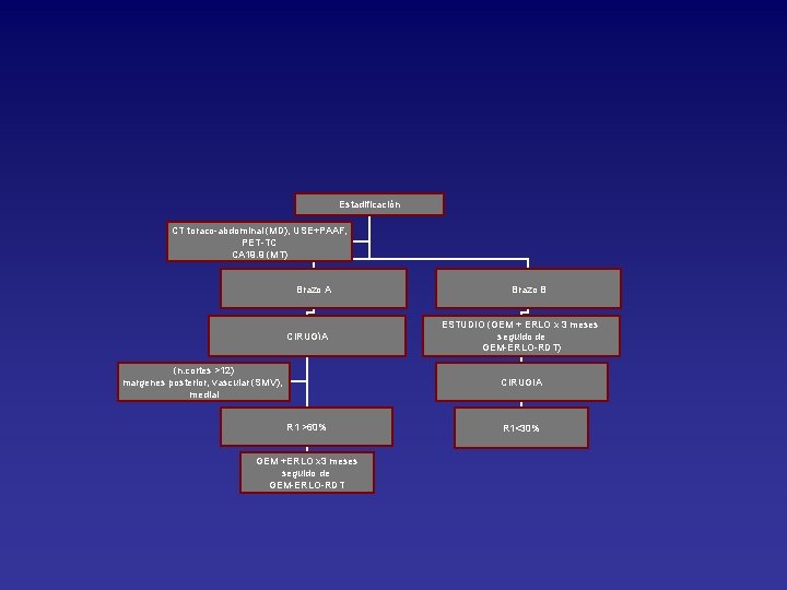 Estadificación CT toraco-abdominal (MD), USE+PAAF, PET-TC CA 19. 9 (MT) Brazo A CIRUGíA (n.