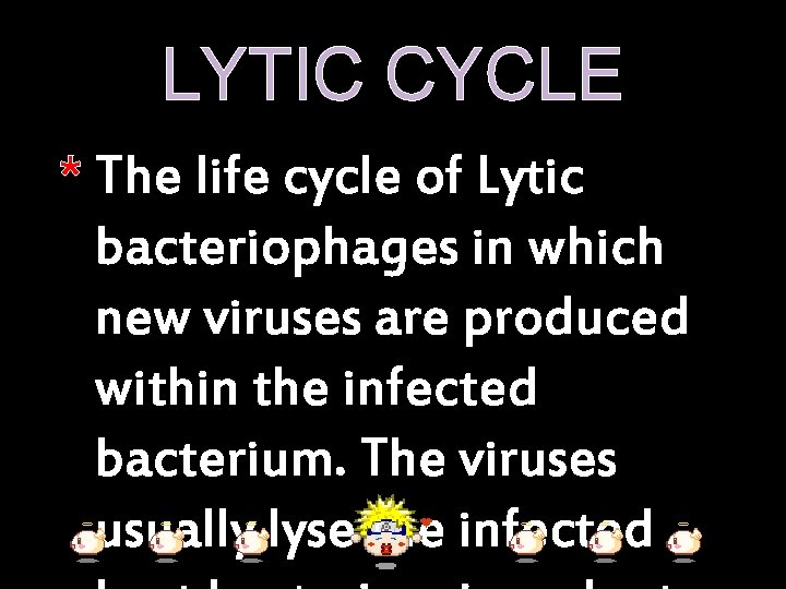 LYTIC CYCLE * The life cycle of Lytic bacteriophages in which new viruses are