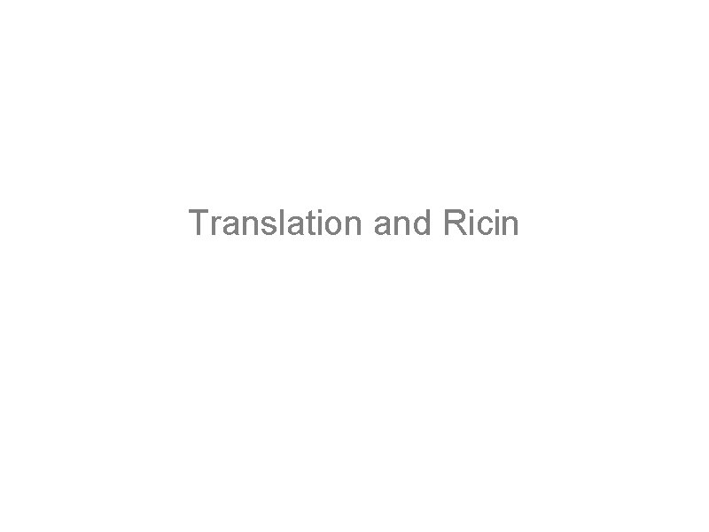 Translation and Ricin 