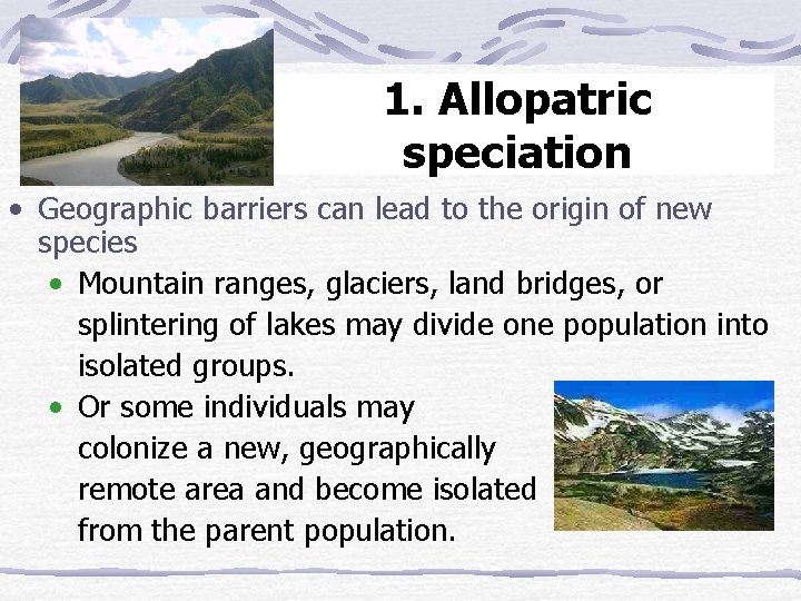 1. Allopatric speciation • Geographic barriers can lead to the origin of new species