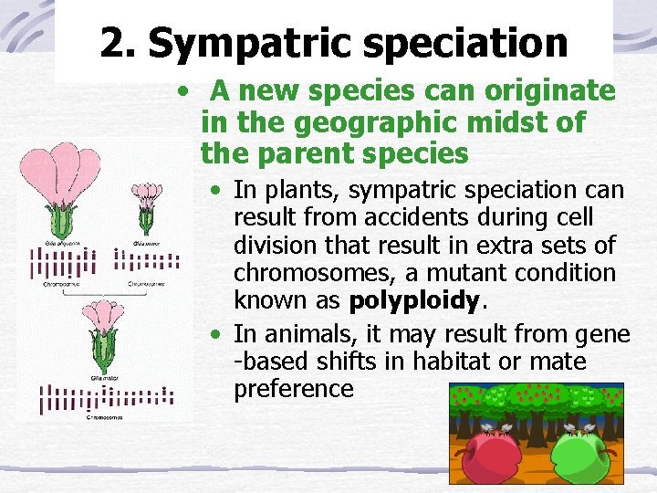 2. Sympatric speciation • A new species can originate in the geographic midst of