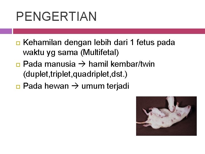 PENGERTIAN Kehamilan dengan lebih dari 1 fetus pada waktu yg sama (Multifetal) Pada manusia
