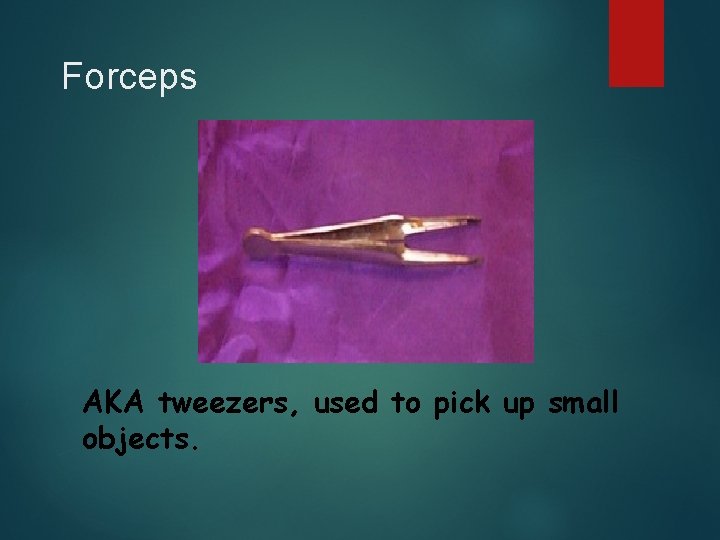Forceps AKA tweezers, used to pick up small objects. 