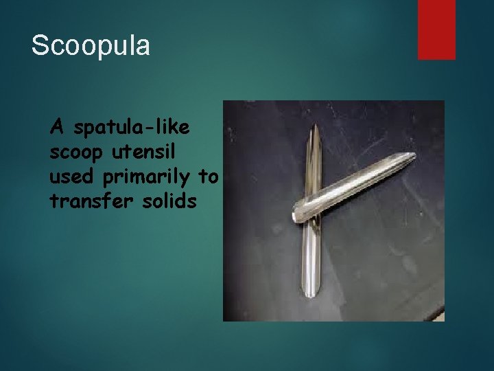 Scoopula A spatula-like scoop utensil used primarily to transfer solids 