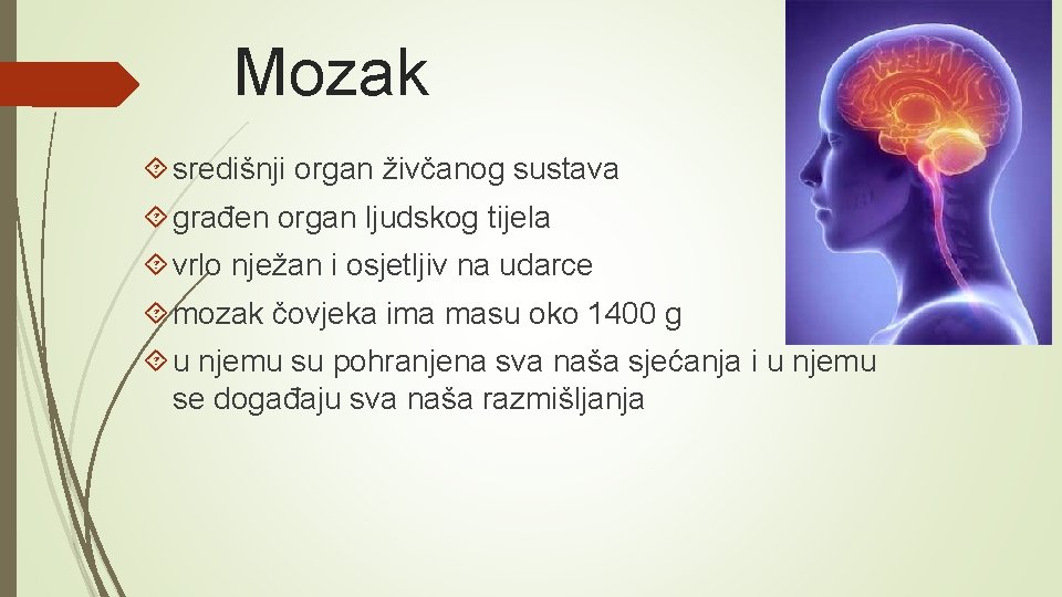 Mozak središnji organ živčanog sustava građen organ ljudskog tijela vrlo nježan i osjetljiv na