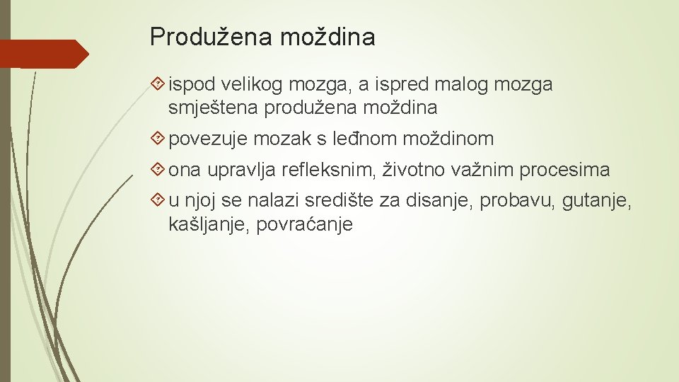 Produžena moždina ispod velikog mozga, a ispred malog mozga smještena produžena moždina povezuje mozak