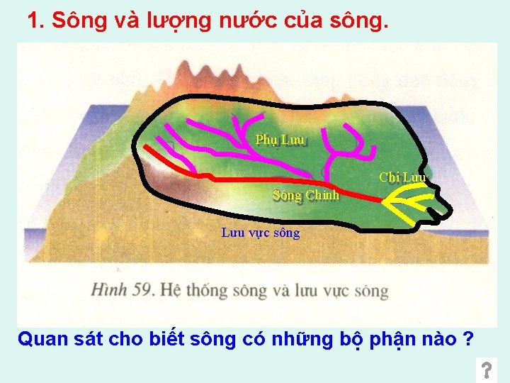 1. Sông và lượng nước của sông. Phụ Lưu Chi Lưu Sông Chính Lưu